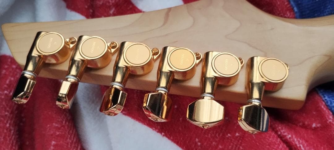 フェルナンデス サスティナー付き レフティ仕様