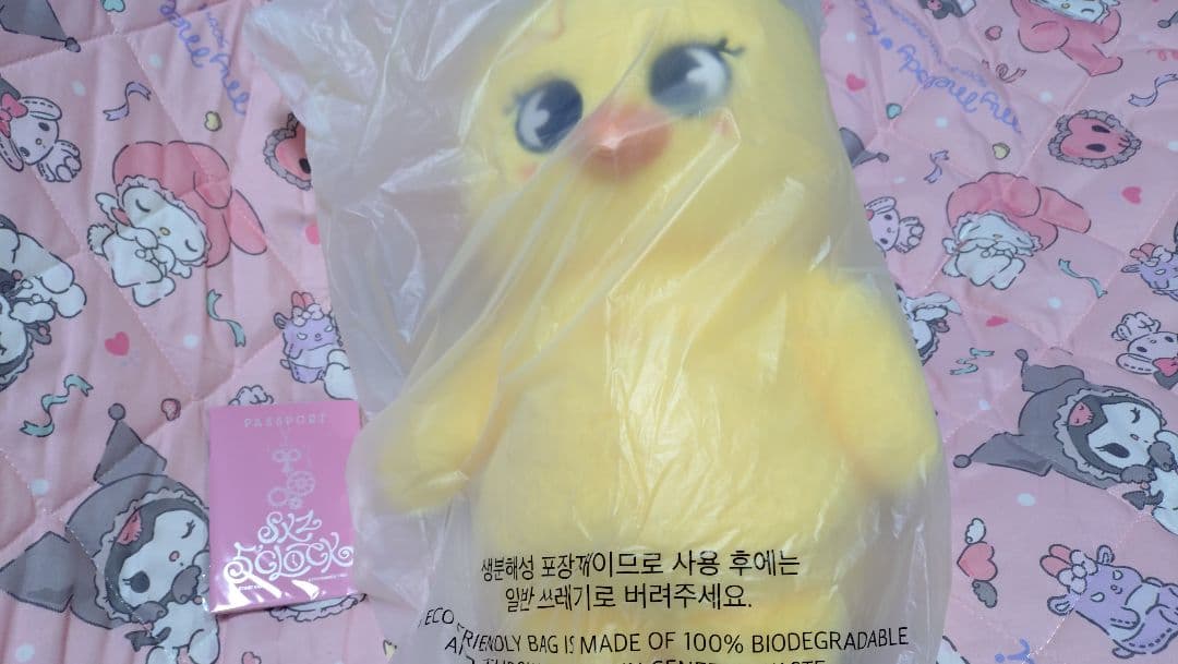 StrayKids skzoo PLUSH TEDDYBEAR テディ S848fd86b07104fb4b4cb61d814922