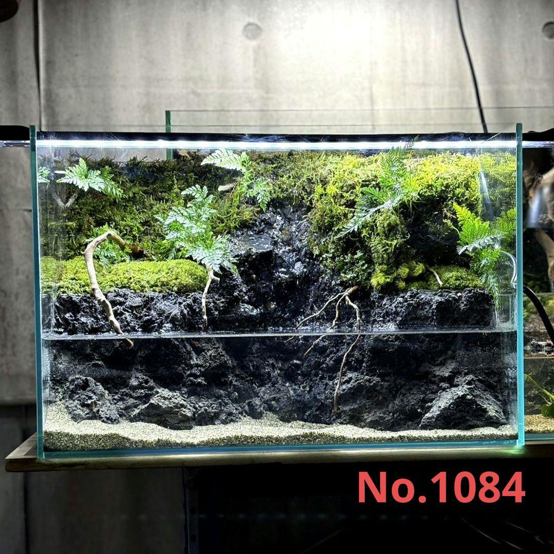 dooa ネオグラスエア 20×20×35 ガラスフタ、RGBソルスタンド