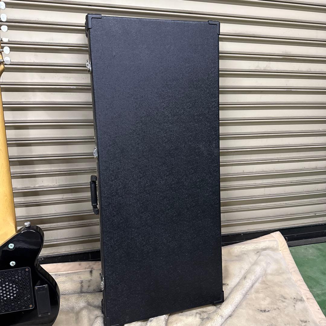 ギター Pignose PGG-TWIN