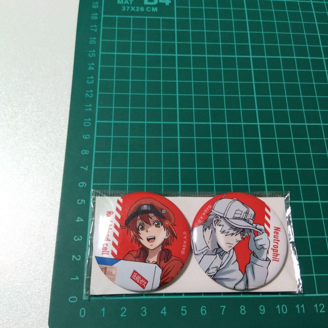 【はたらく細胞】白血球＆赤血球 缶バッジセット