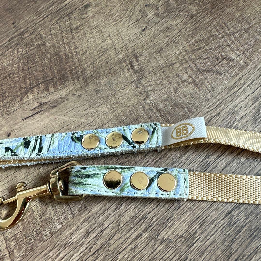 バディベルト BB バハマ 4号 アクセントリード