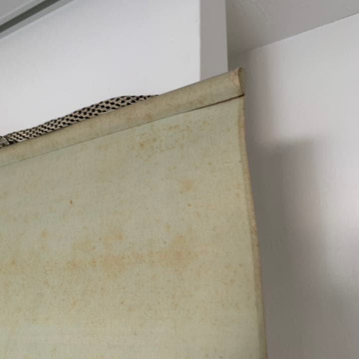 草雲作　朝陽　日の出　縁起物　掛軸　日本画　田崎草雲