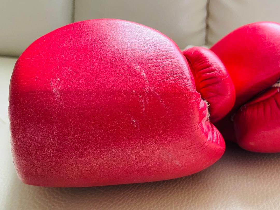 レア品】Winning ボクシンググローブ 8oz 長谷川穂積さんサイン入り