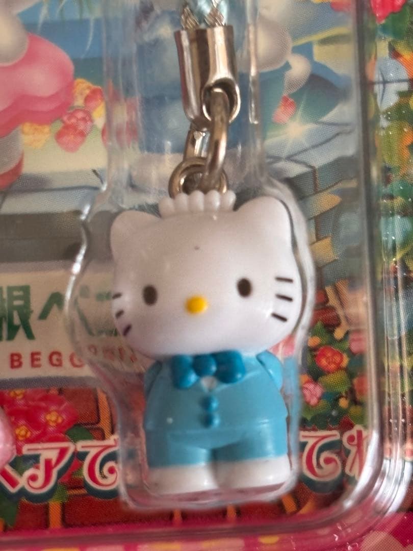 激レア❣️未使用未開封❗️ご当地キティ神奈川 箱根ベゴニア園2006