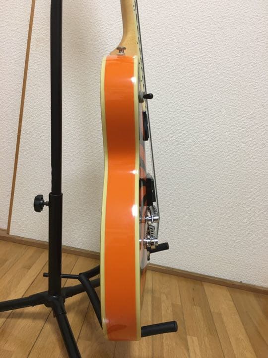 ギターケース   ギターzakk wyde model