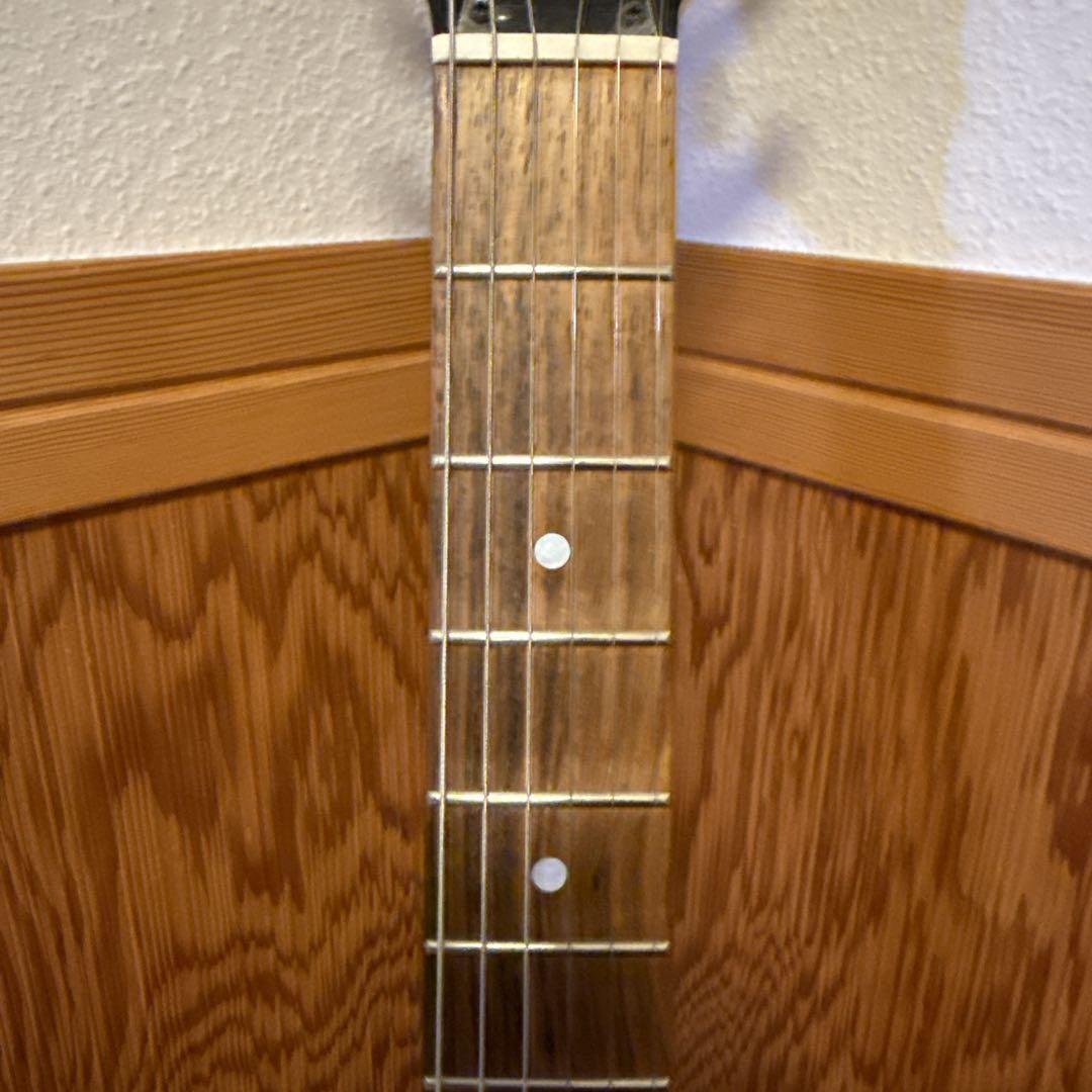 ターゲット モッキンバード TARGET BY FERNANDES HIDE ターゲット