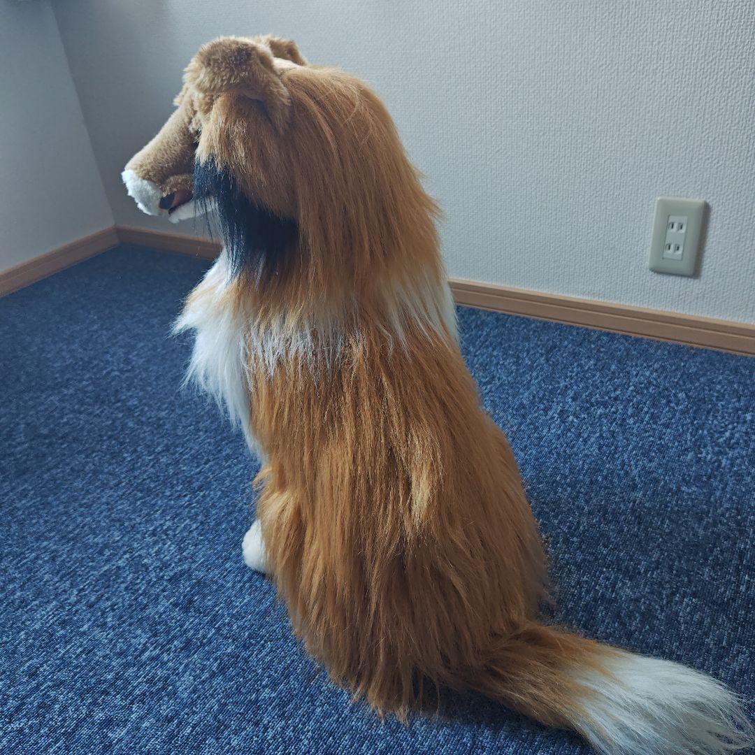 コリーシェルティ ぬいぐるみ 中型 茶色・白