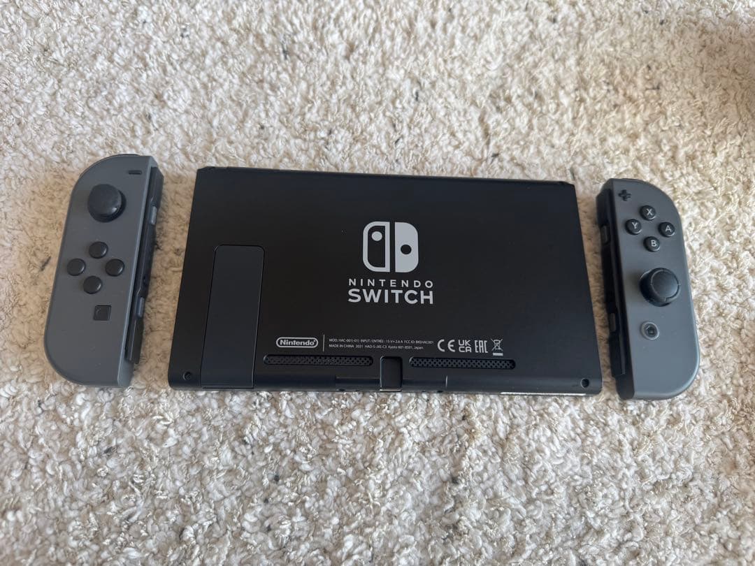 Nintendo Switch 本体 + 付属品多数