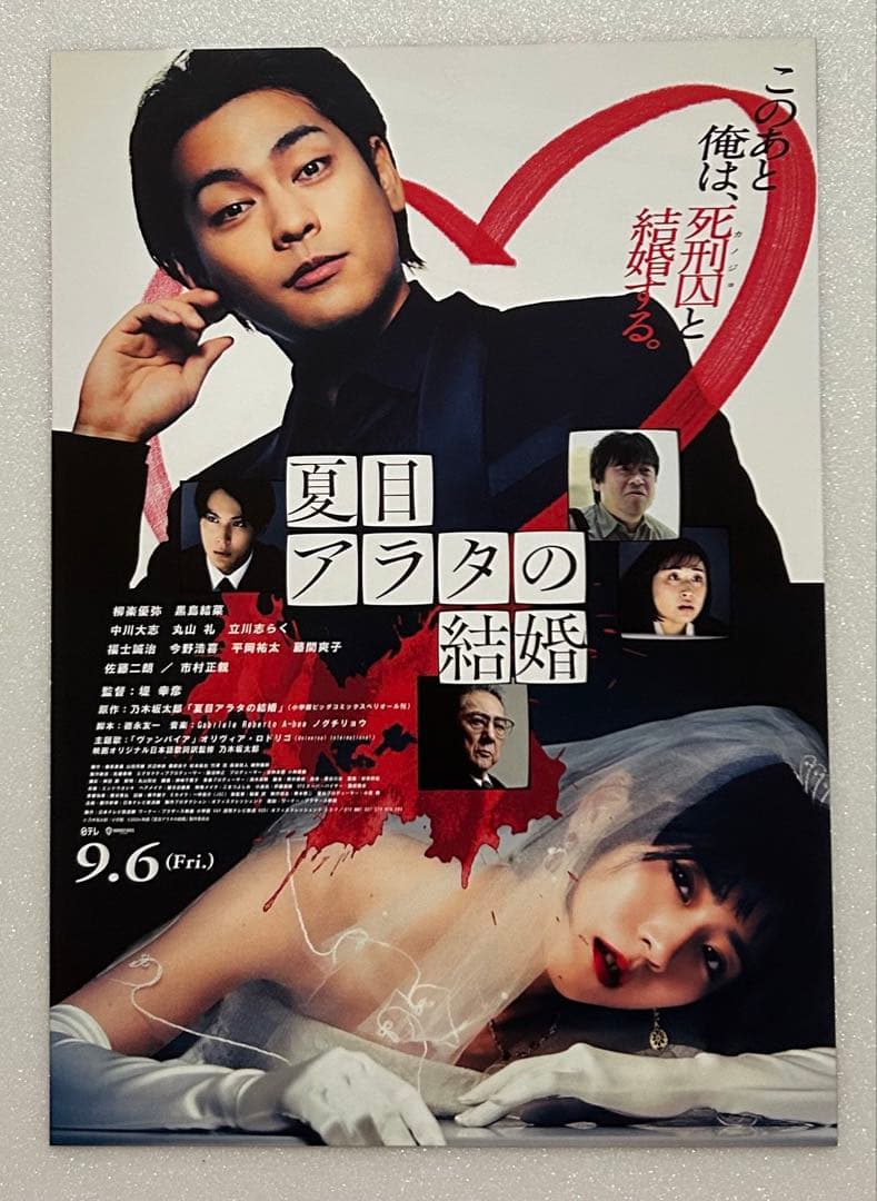 柳楽優弥 さん 出演 映画チラシ フライヤー 大量セット