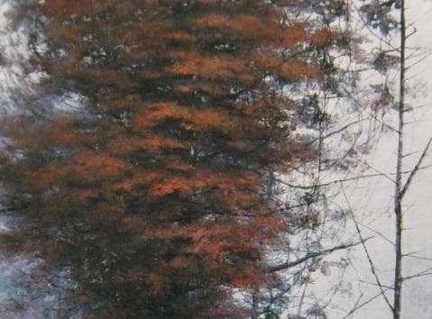 大熊栄子、【うつろう】、希少な額装用画集より、新品額装付、状態良好