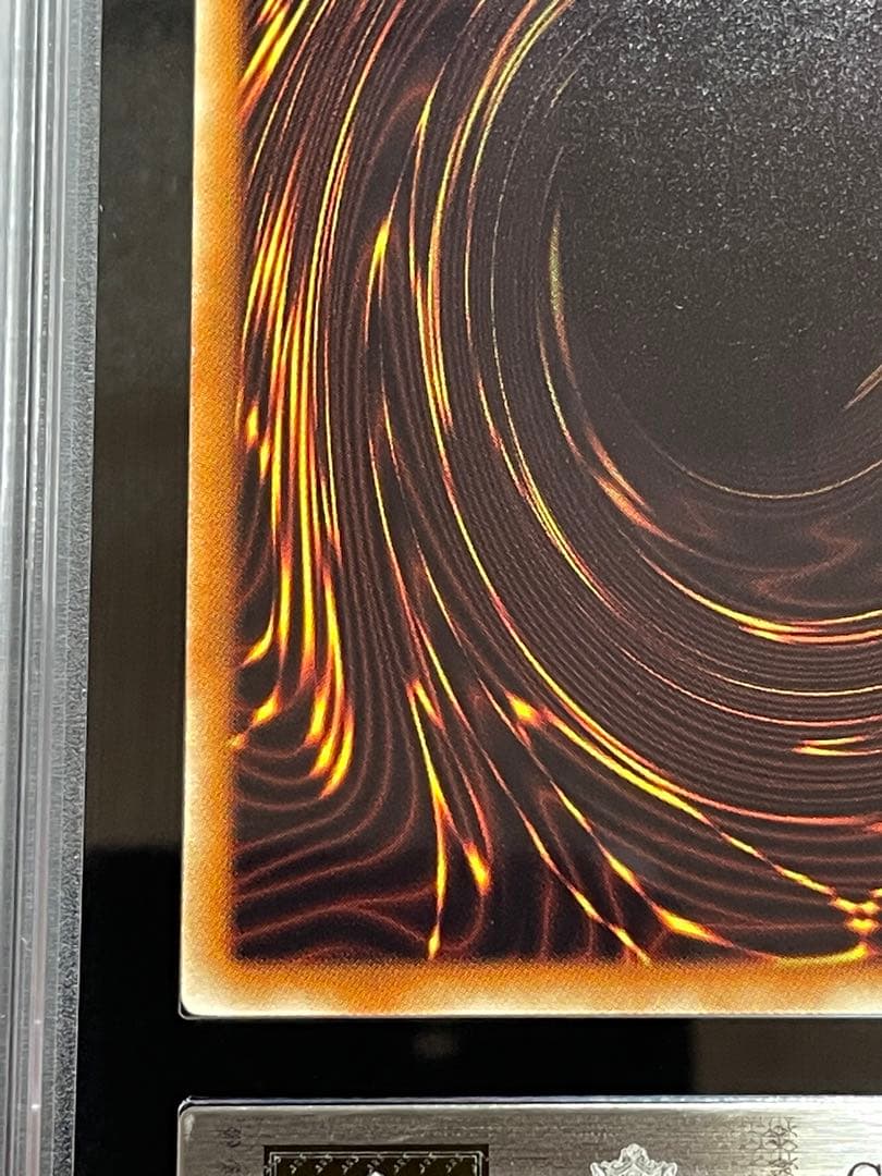 【ARS鑑定 10】ナチュルパルキオン　DTC シークレットレア　貴重！