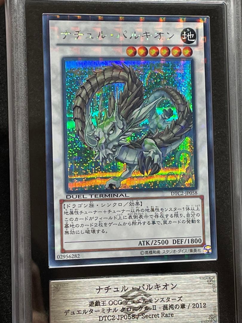 【ARS鑑定 10】ナチュルパルキオン　DTC シークレットレア　貴重！