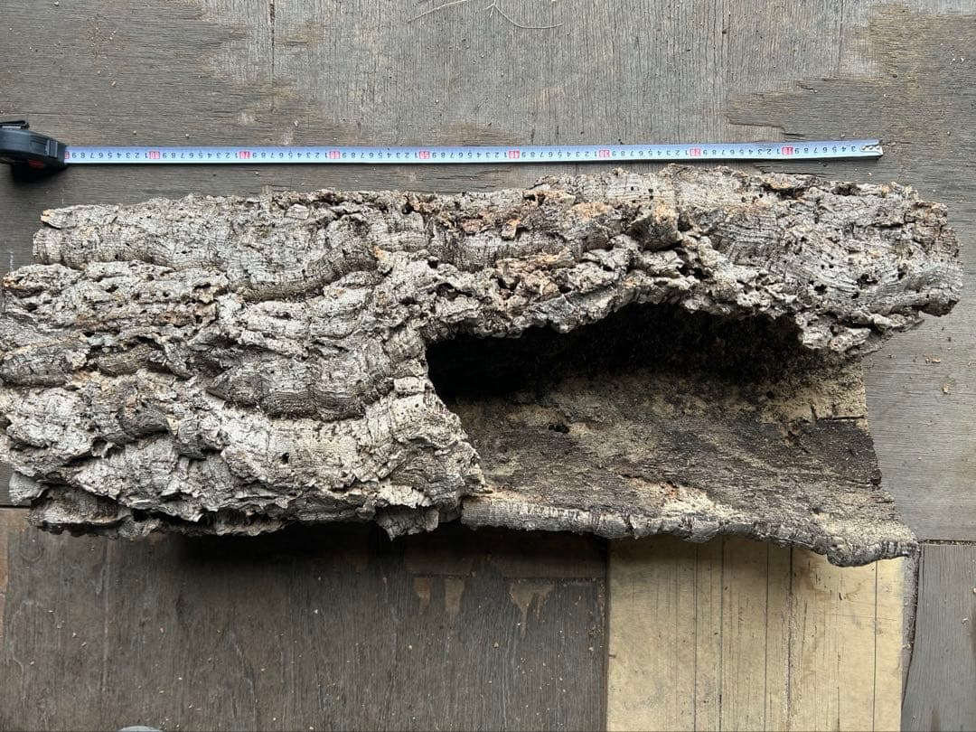 ポルトガル産コルク樹皮PL-102-10LL