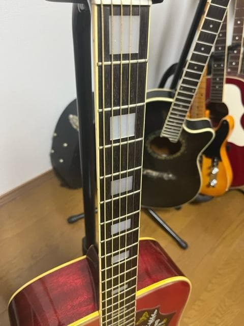 ハミングバード】MORRIS WH-20 C99792311 ブランド