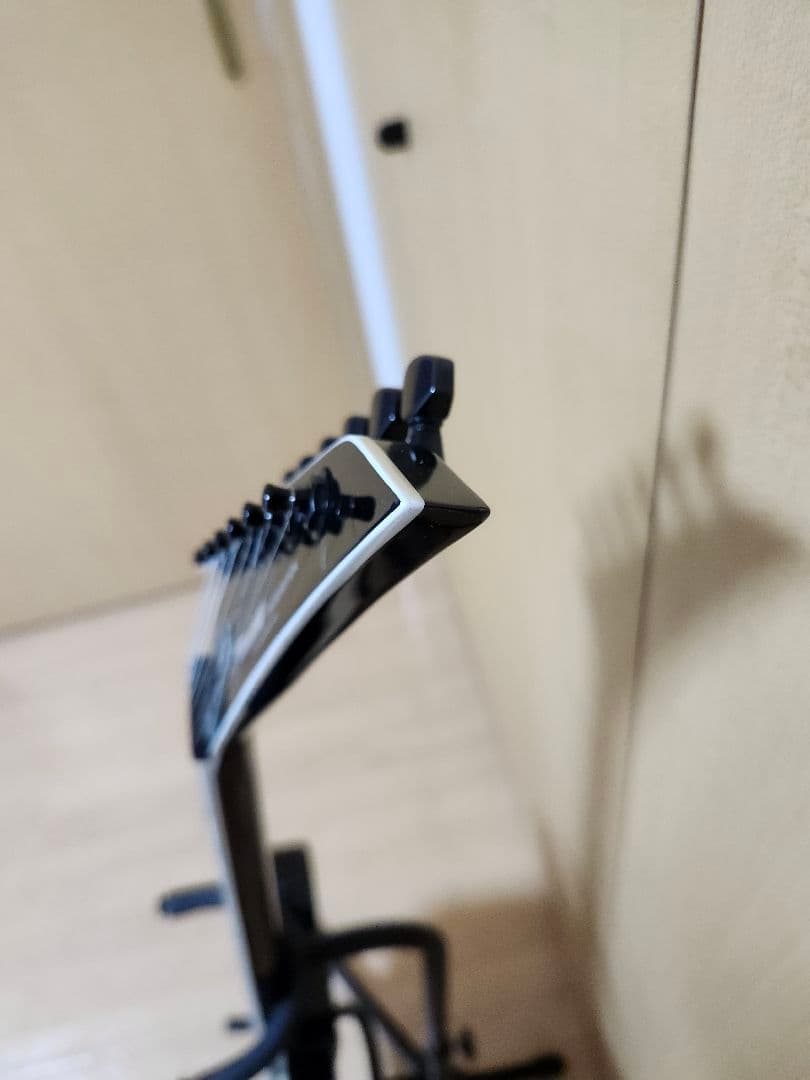 フェルナンデス　FERNANDES　TEJ