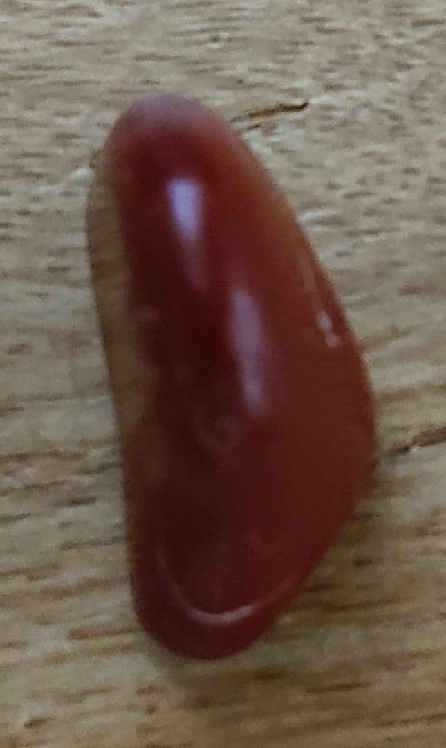 ベンガラ石 Tumbled Carnelian Chrysalis Stone