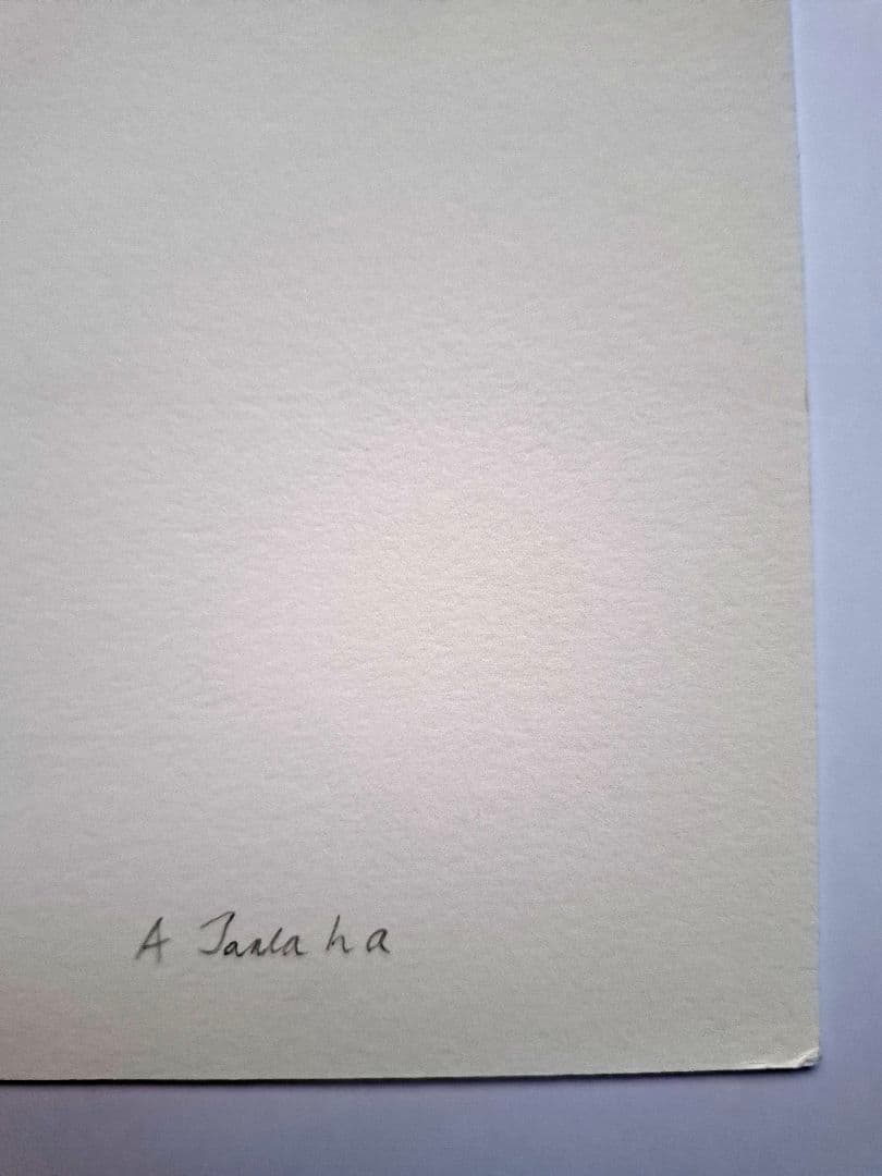 田中敦子　『青赤緑の丸と小さな丸たち』