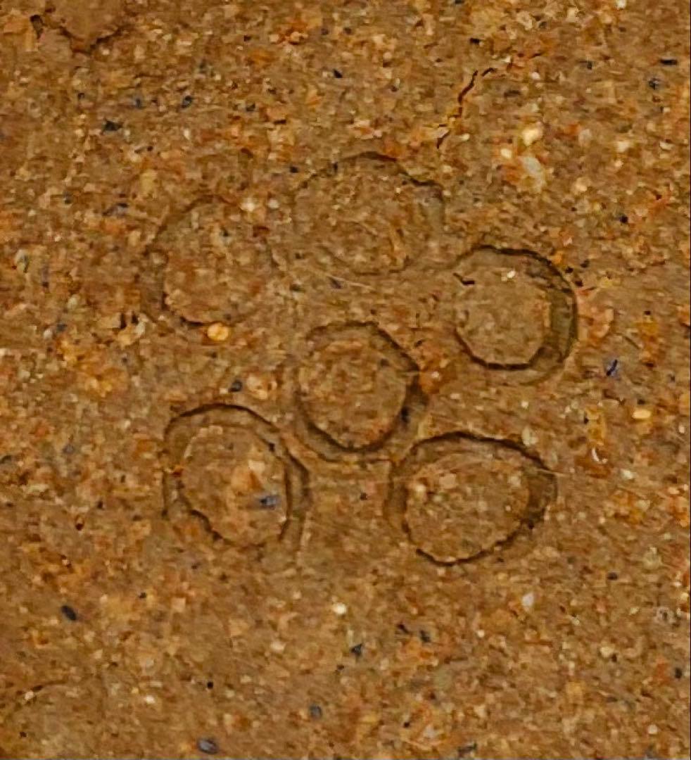 岡山県重要無形文化財 森陶岳先生 備前焼ぐい呑 S 77 木村多