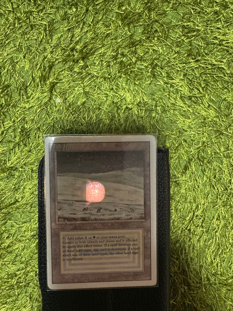 Tundra マジック：ザ・ギャザリング 土地カード