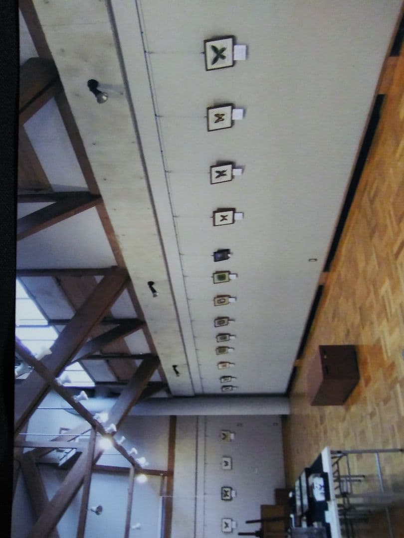 ホメルスアゲハ　「ジャマイカ」