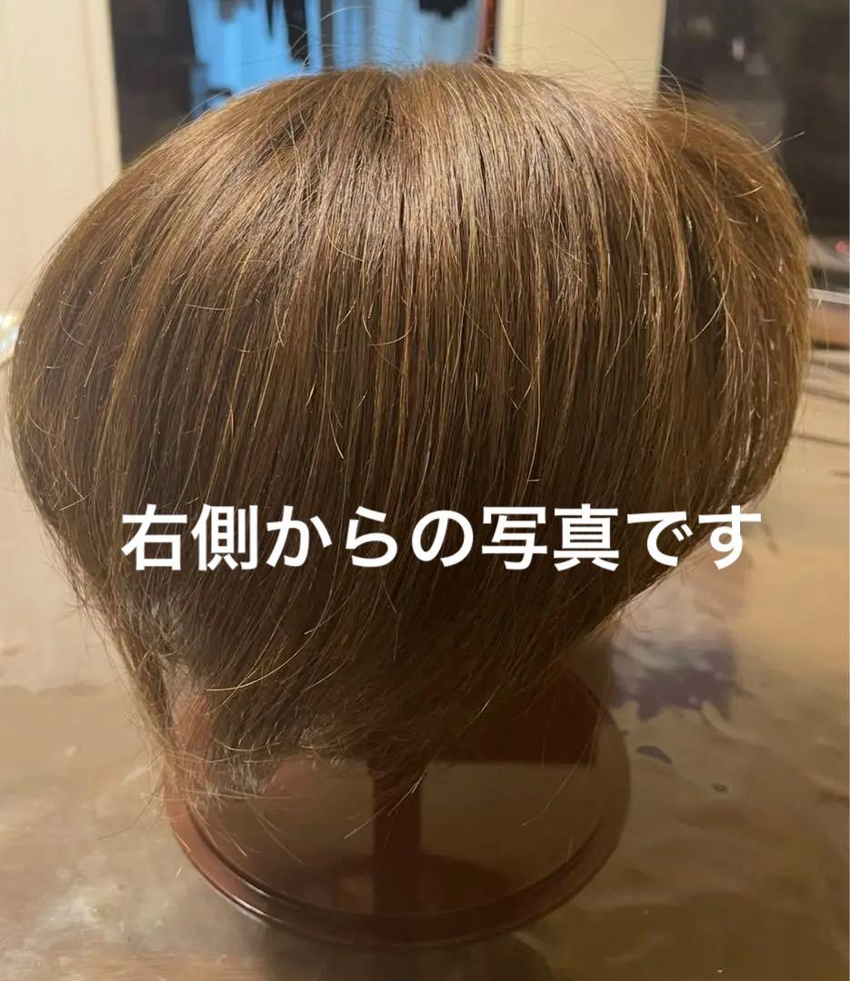 お値下げ❣️アートネイチャー左分け人毛100ショート頭頂部ウイッグ自然なブラウン