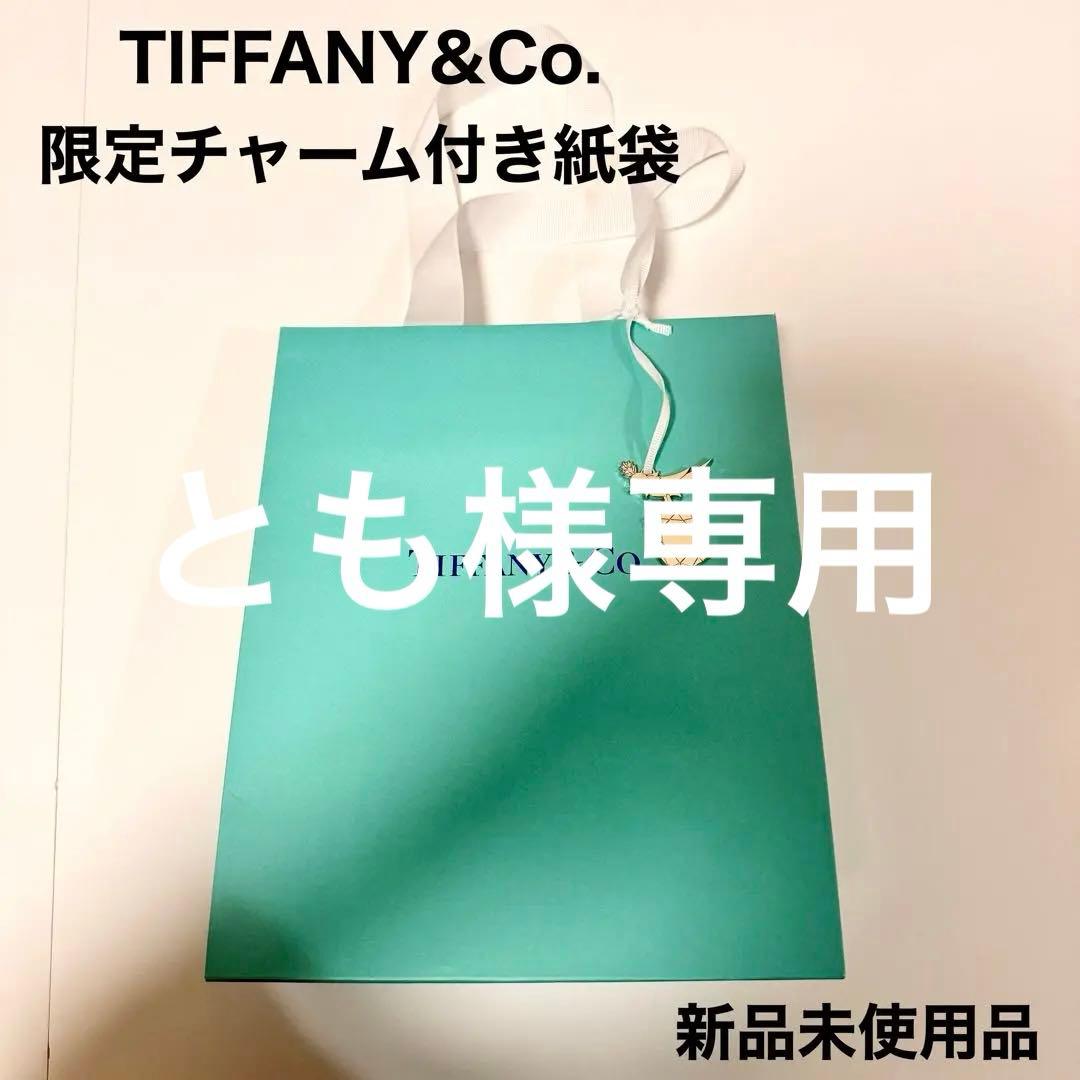 新品未使用✨ティファニー 紙袋 限定チャーム付き 銀座本店 表参道