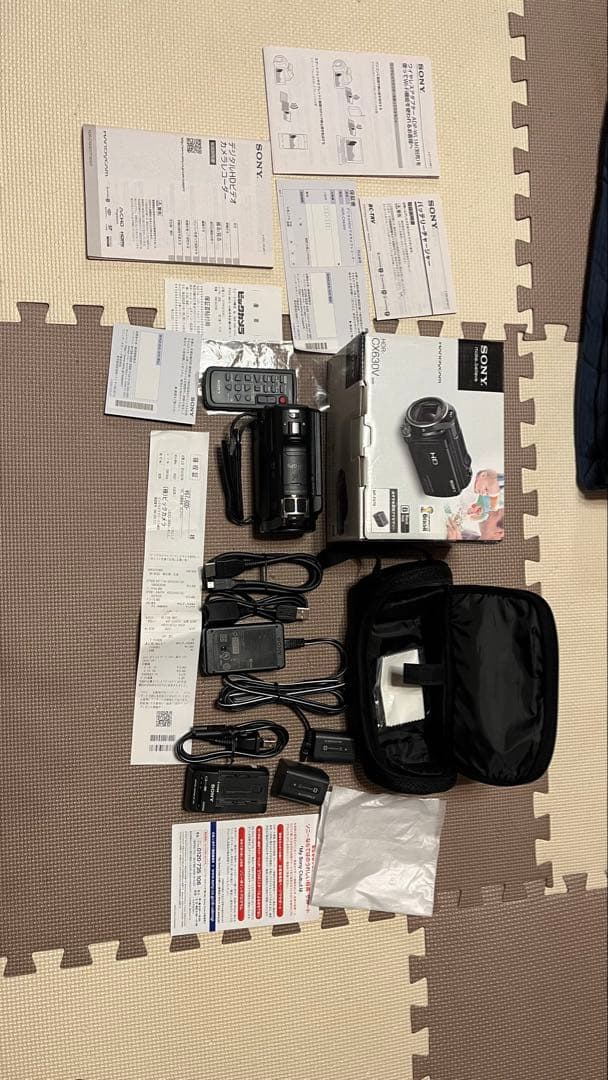 ビデオカメラ Sony Handycam HDR-CX630V