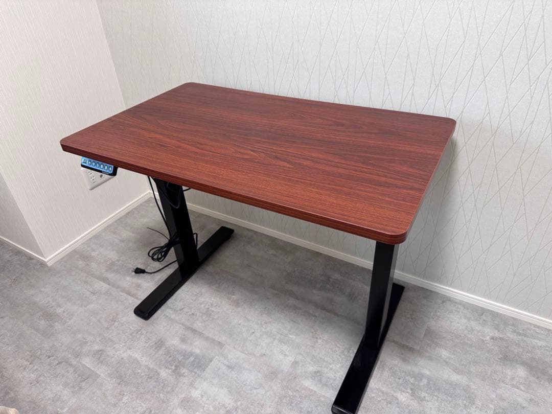 Flexispot EF1 電動昇降式デスク100cm x 60cm