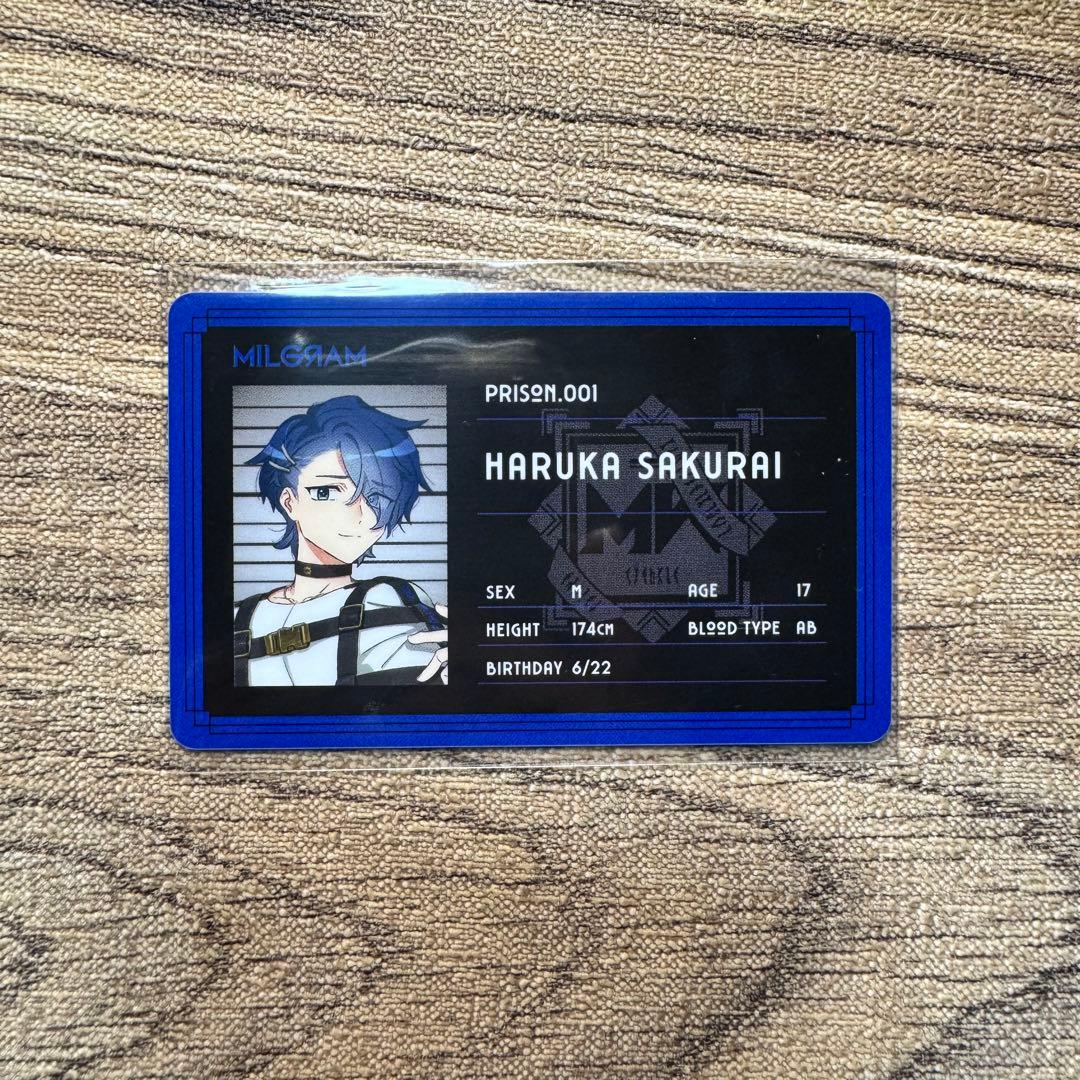 ジグソーパズル 完成品③額縁入り 箱付 高さ79cm✕幅54cm 1000ピースの