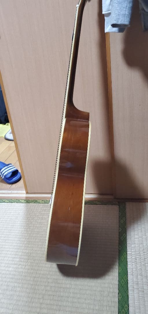 ギター Sepia crue made in china tipe F250 LH/TS