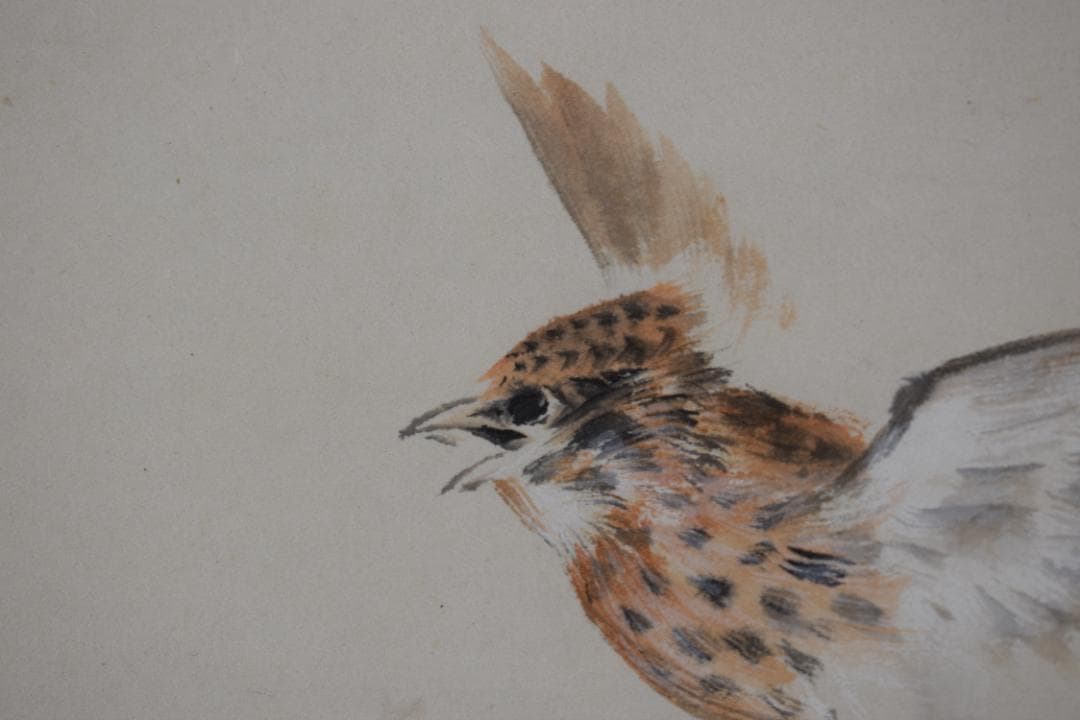 【真作】森田光達/雲雀図/ヒバリ/告天子/掛軸☆宝船☆Z-482 真作】森田光達/雲雀図/ヒバリ/告天子/掛軸☆宝船☆Z-482の通販 by