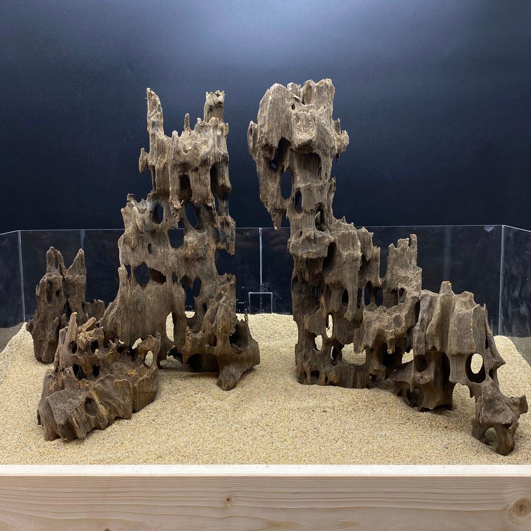 マシンガンウッドレイアウトセット60cm水槽用流木