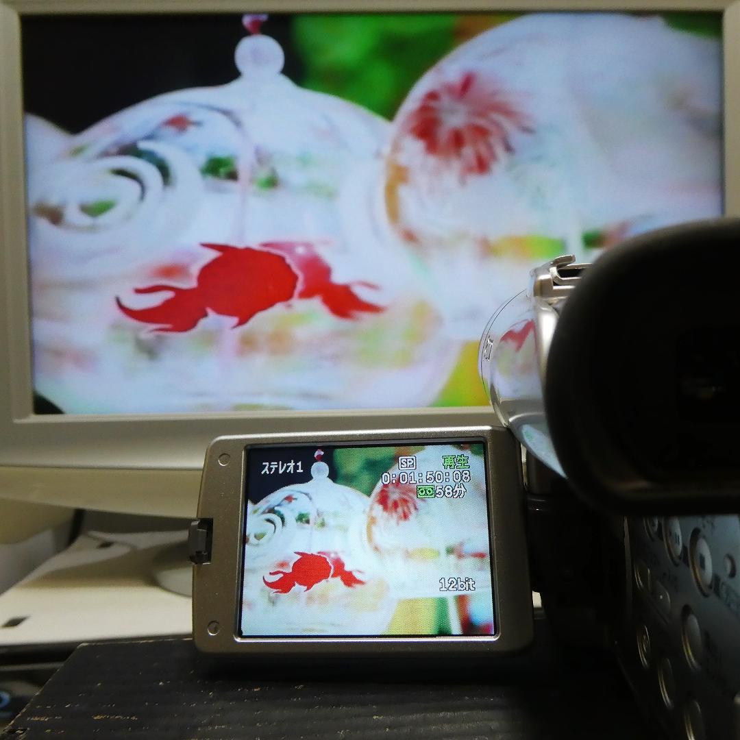 動作良好 キャノン DM-FV M100 MiniDVビデオカメラDVD化に最適