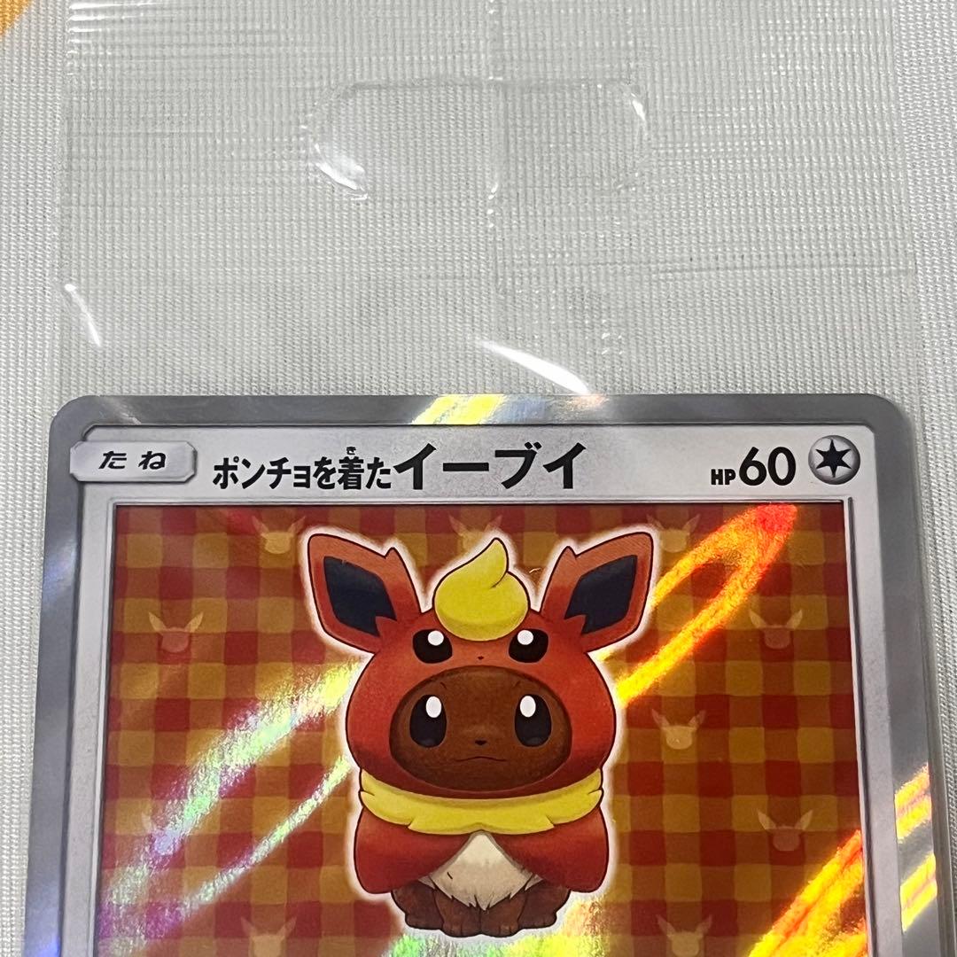 ポンチョを着たイーブイ　ブースター