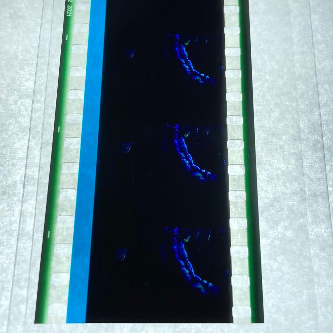 sao フィルム ミト アスナ キリト 4個セット