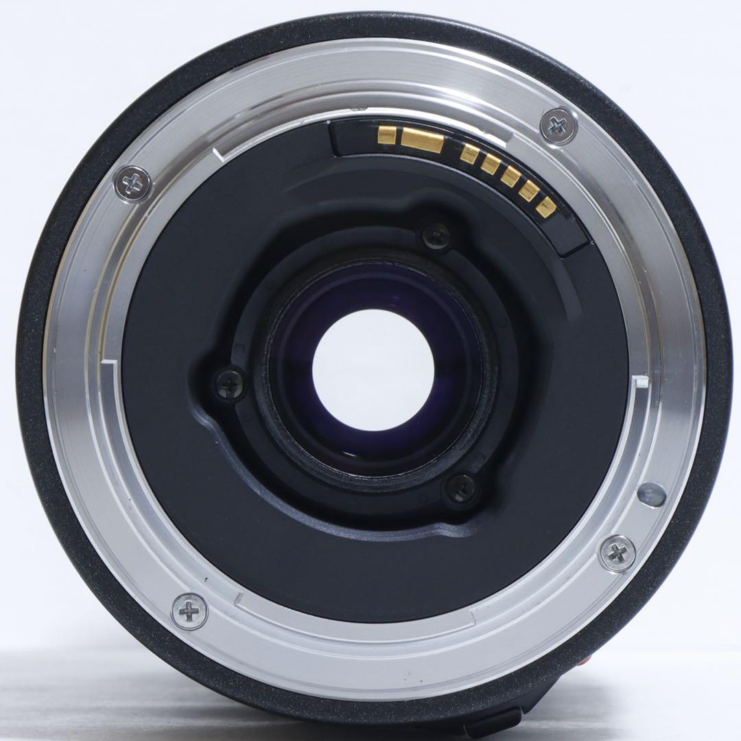 ◇大迫力300mm超望遠◇ TAMRON 100-300mm for Canon