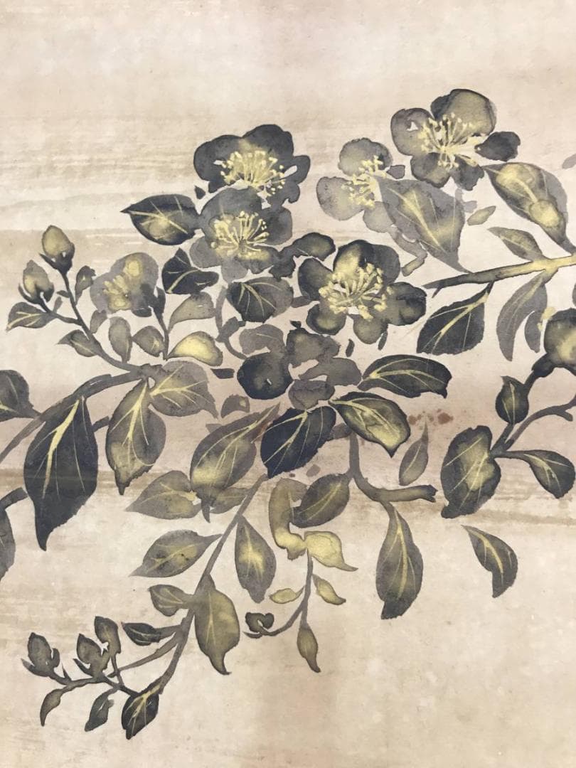 【模写】尾形光琳/花鳥図/横物/掛軸/名家伝来/AC-113