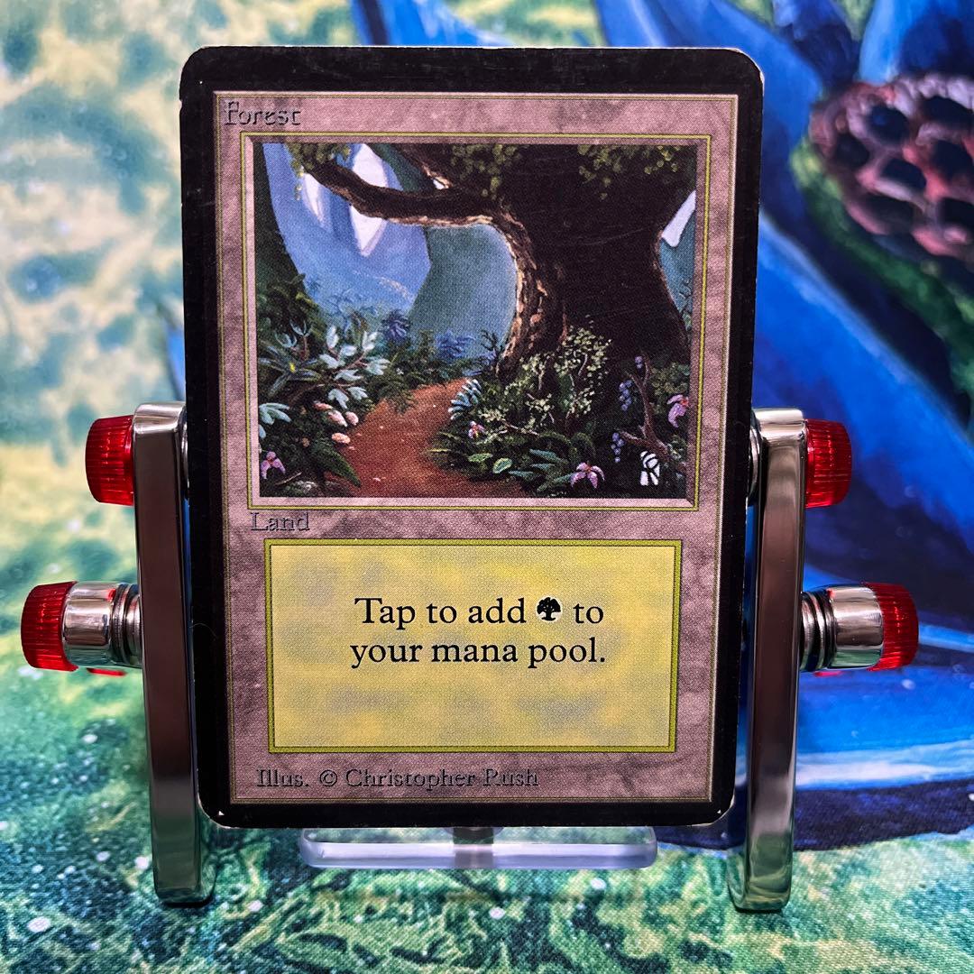 1124  《森/Forest》MTG アルファ　α [LEA] 基本土地