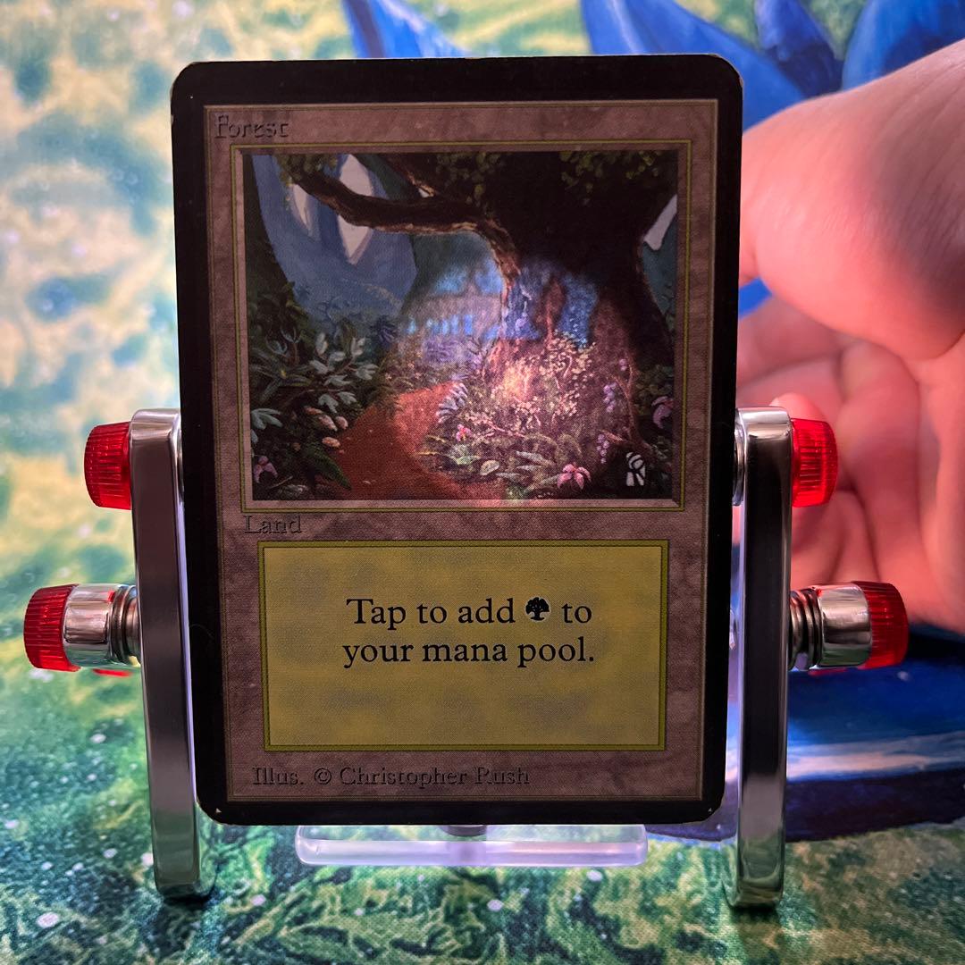1124  《森/Forest》MTG アルファ　α [LEA] 基本土地