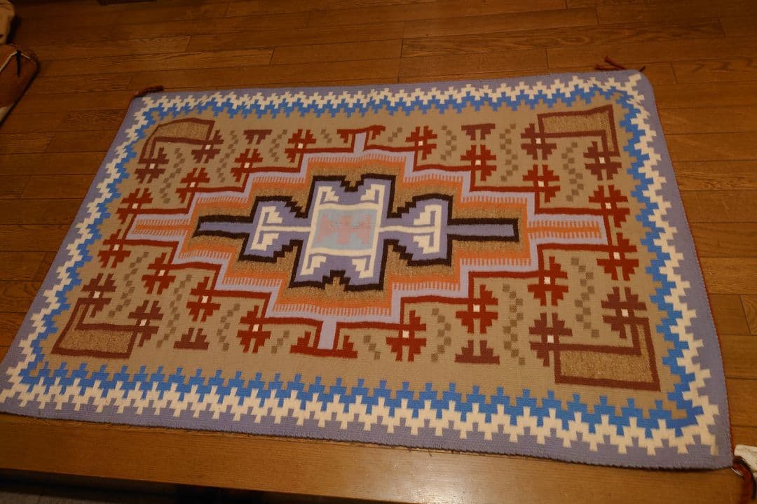 フィリピン ブンブク 世界最大級 完品 ウニ殻 ウニ 標本