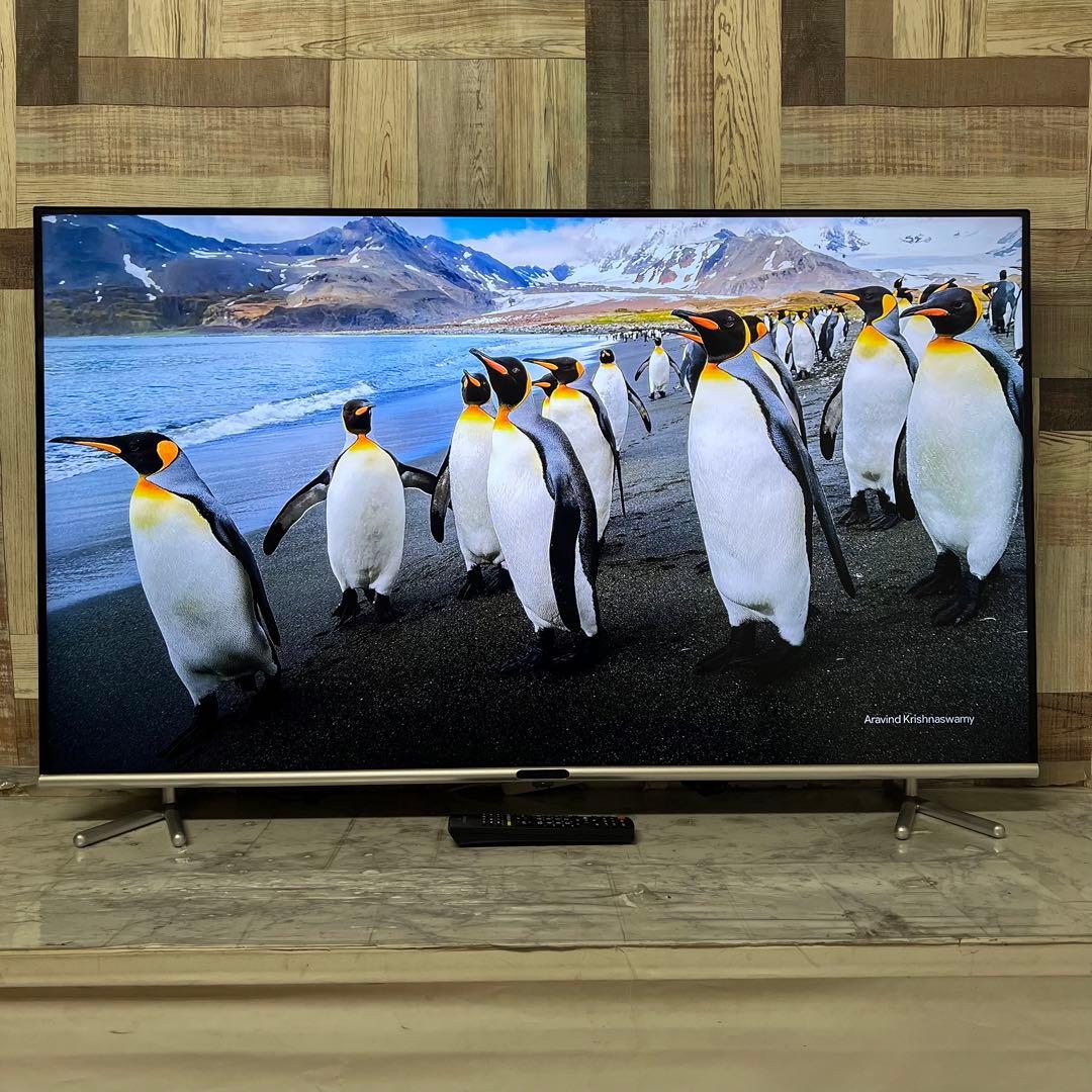 即日受渡❣️全国送料込グリーンハウス50型液晶テレビ日本メーカー製最新