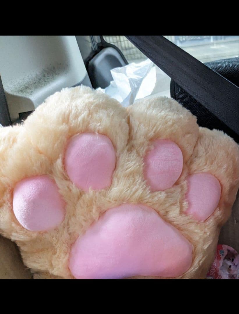 スパイファミリー モフサンドぬいぐるみセット