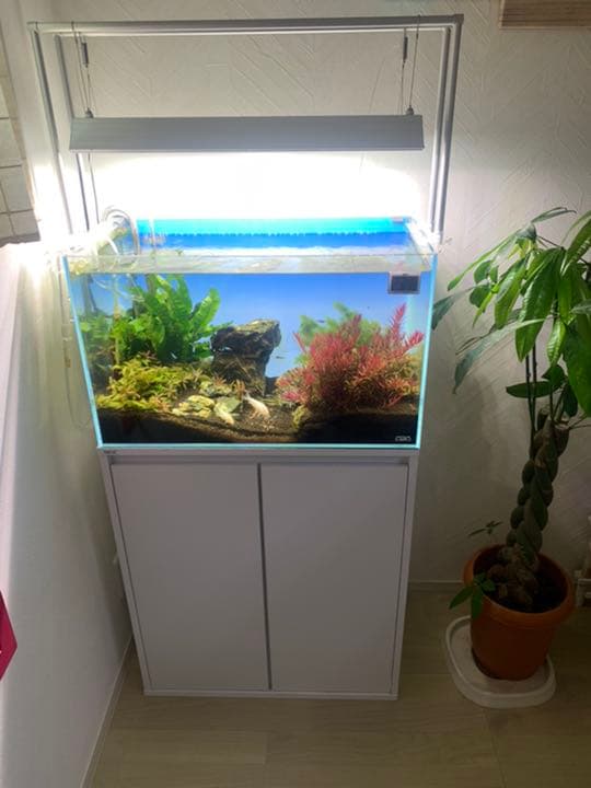 Ada 水槽 60cm キューブガーデン キャビネットセット ADA 60cm 水槽