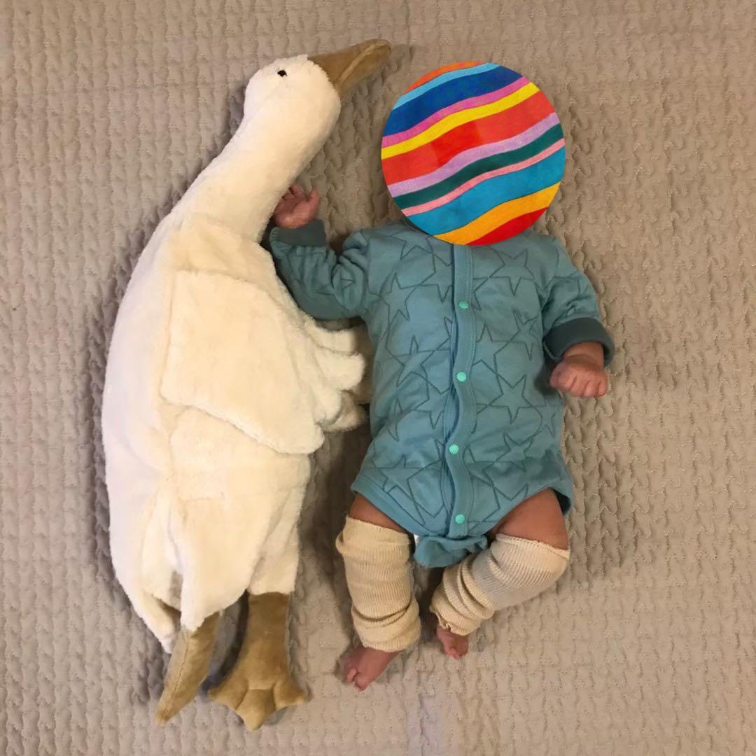 【美品】ゼンガー　ガチョウ　ぬいぐるみ