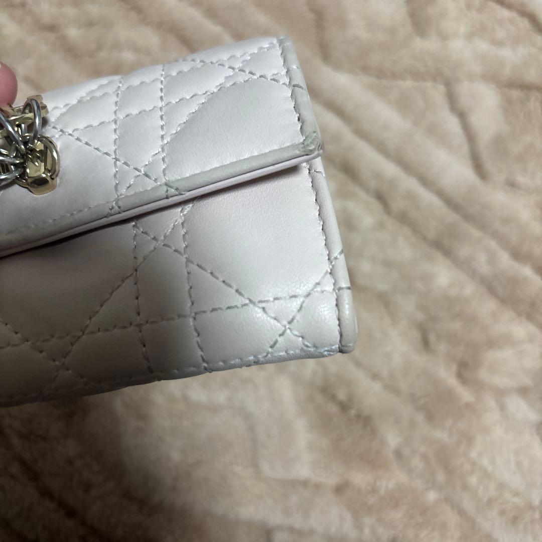 Christian Dior カナージュラムスキン