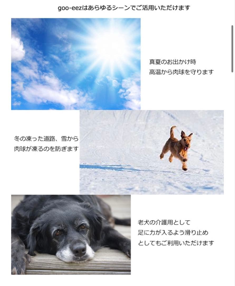 値下げ応相談】ドッグブーツ 迷彩柄 サイズM 2足入り × 2