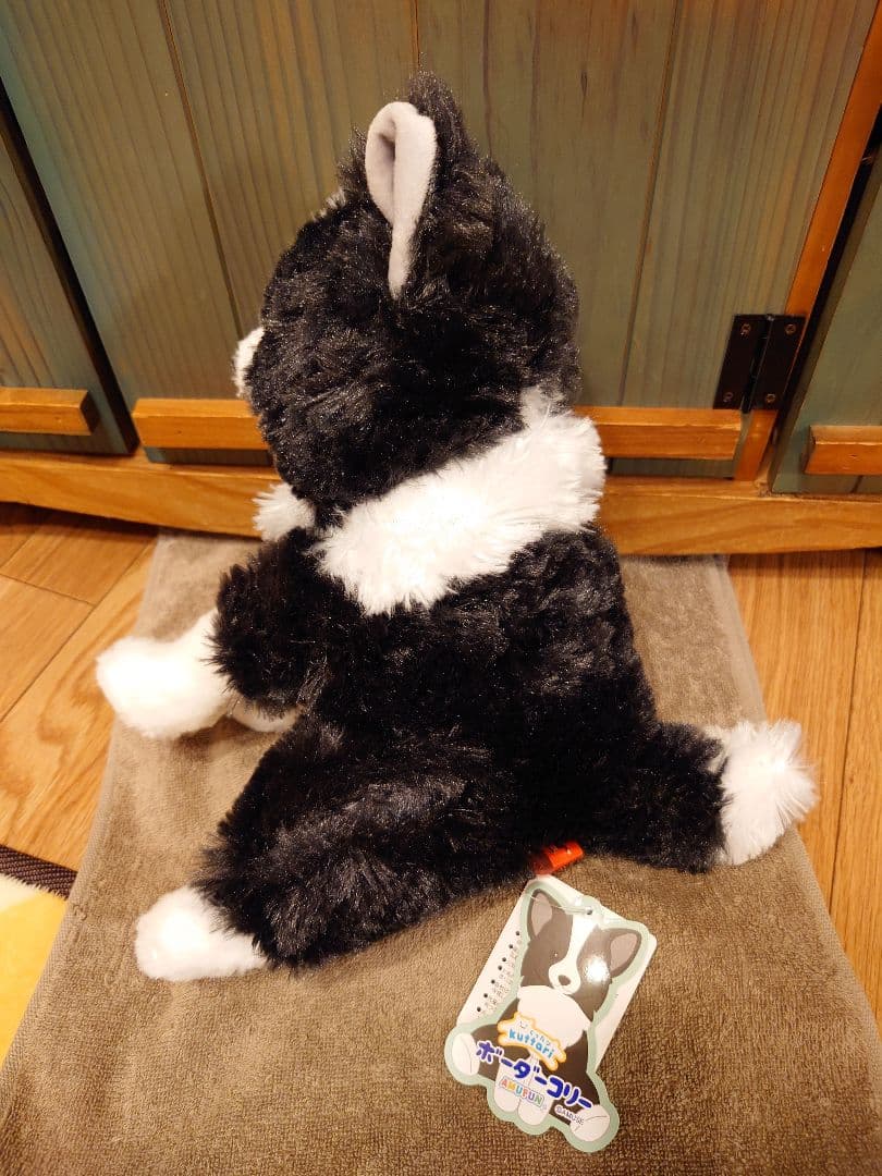 くったりボーダーコリー【新作】おりこうさん ノワール JB くったり