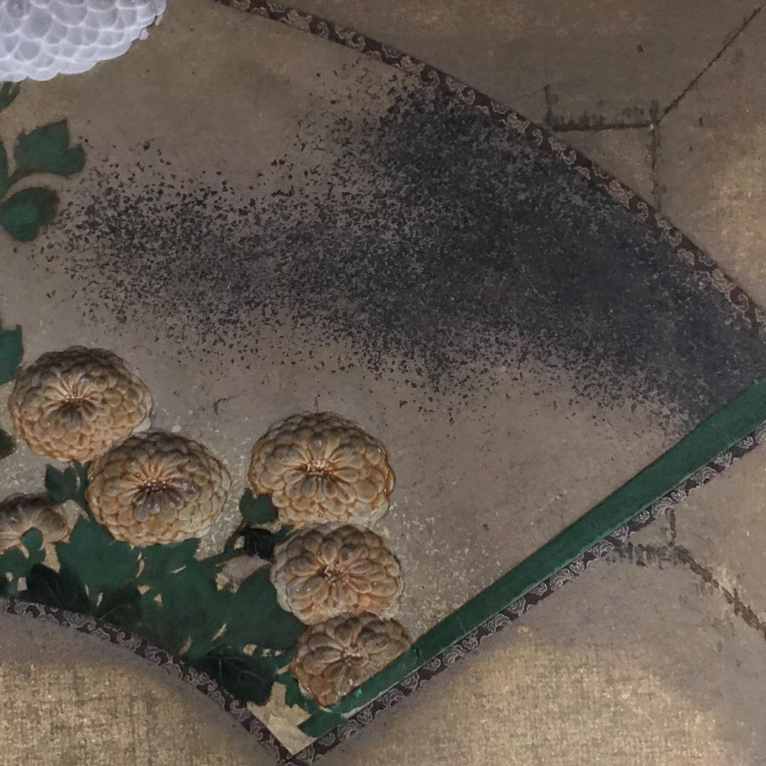 尾形光琳/菊花之図/扇面菊図/日本画/額/掛軸/掛軸/名家伝来/Y-