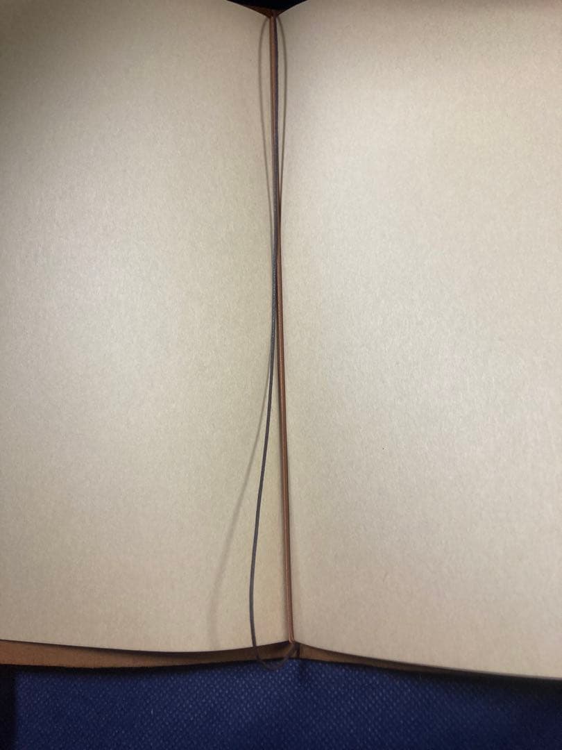 トラベラーズノート ナイジェルケーボン 2021年コラボ 新品 限定品